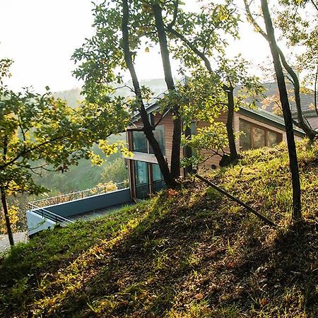 Apartment Oton Reya Dobrovo Bagian luar foto
