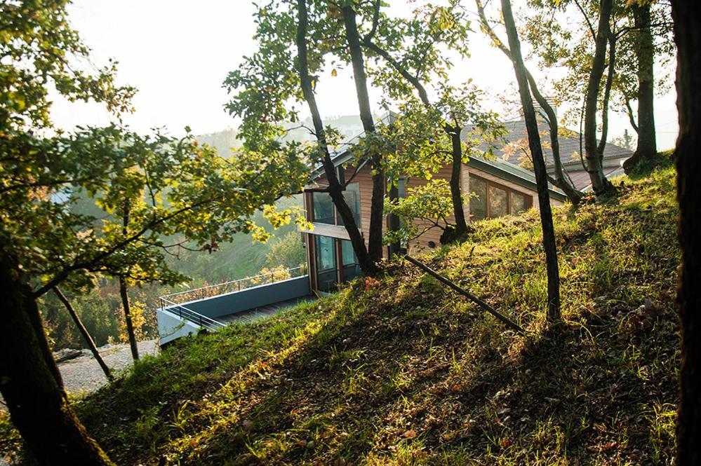 Apartment Oton Reya Dobrovo Bagian luar foto